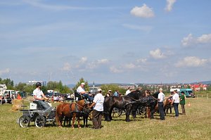 Kampf der Giganten Sundhausen