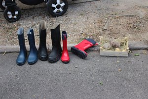 "Gro&szlig;e Schweinerei" vor der Kindervilla