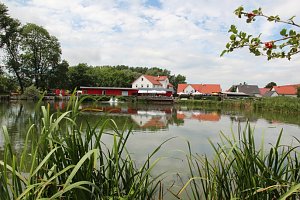 Tipp für Fisch-Fans in Bad Frankenhausen
