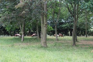 Jubil&auml;en bei den Tiersch&uuml;tzern