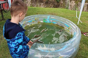 Fischerfest am Schwanenteich