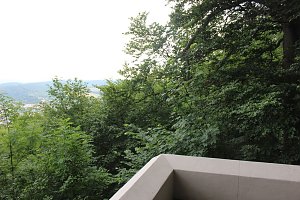 Waldbegehung am Possen im unterschiedlicher Resonanz
