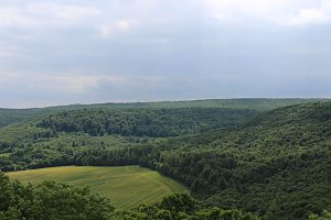 Waldbegehung am Possen im unterschiedlicher Resonanz