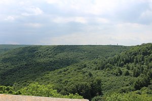 Waldbegehung am Possen im unterschiedlicher Resonanz