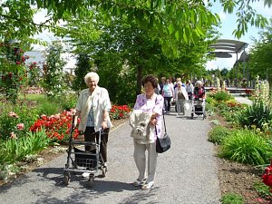 WB 4 besuchte Europa-Rosarium Sangerhausen