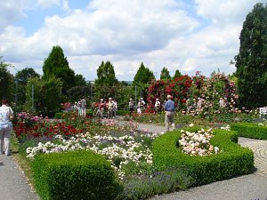 WB 4 besuchte Europa-Rosarium Sangerhausen
