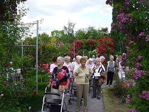 WB 4 besuchte Europa-Rosarium Sangerhausen