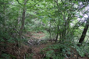 Waldbegehung am Possen mit unterschiedlicher Resonanz