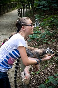 Besuch bei den Affen am Straußberg