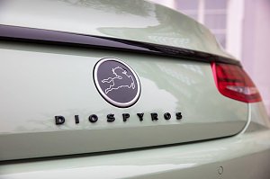 Nach oben ist beim Diospyros alles offen