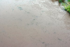 Dauerregen besch&auml;ftigt Feuerwehren