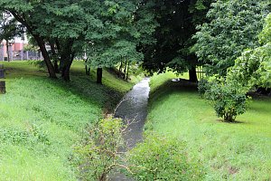 Wipper und Bebra