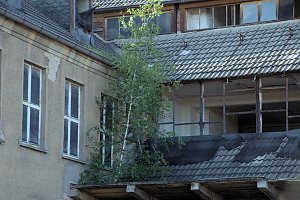 An der Piste und in der Stadt