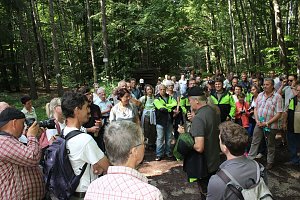 Waldbegehung mit Siegesmund und Kieling