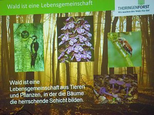 Revierf&ouml;rster mit bildlicher Wanderung