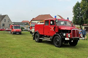 Aus Abrisshaus gerettet