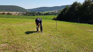 Köhlertage an der Arche Nebra