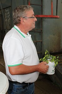 Start der Hopfenernte in Gro&szlig;enehrich