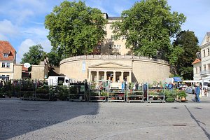 Pflanzenmarkt in Sondershausen