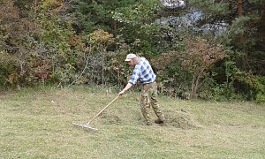 F&uuml;r Bienen-Ragwurz und Spargelerbse