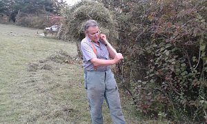 F&uuml;r Bienen-Ragwurz und Spargelerbse