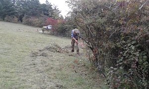 F&uuml;r Bienen-Ragwurz und Spargelerbse