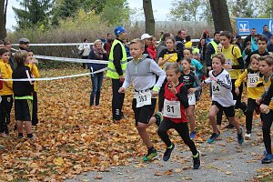 24. Stadtparklauf in Sondershausen (1)