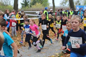 24. Stadtparklauf in Sondershausen (1)
