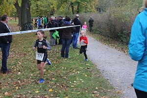 24. Stadtparklauf in Sondershausen (1)