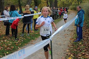 24. Stadtparklauf in Sondershausen (1)
