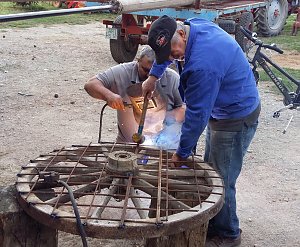 Neue Storchennester in Seehausen