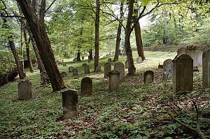 Spaziergang &uuml;ber den J&uuml;dischen Friedhof