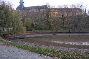 Was ist mit dem Teich passiert?