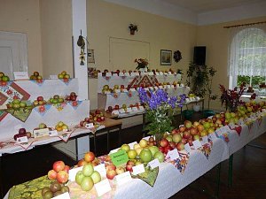 Kernobstschau in Sondershausen