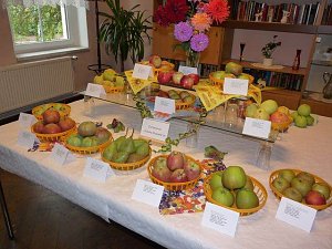 Kernobstschau in Sondershausen
