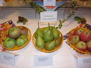 Kernobstschau in Sondershausen