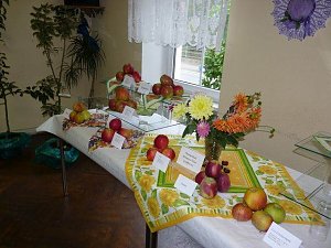Kernobstschau in Sondershausen