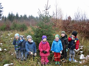 Ein Tannenbaum für unsere Kindervilla
