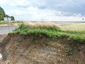 Sichtverh&auml;ltnisse Schernberger Holzecke