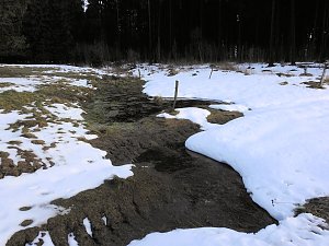Der Harz taut...