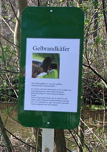 Teichprojekt