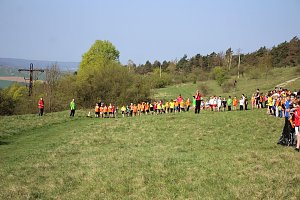 Tolles Kreisfinale beim Crosslauf