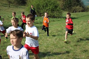 Tolles Kreisfinale beim Crosslauf