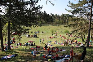 Tolles Kreisfinale beim Crosslauf