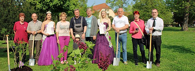 Fr&uuml;hjahrsputz in Bad Frankenhausen