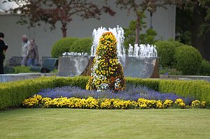 Fr&uuml;hjahrsputz in Bad Frankenhausen
