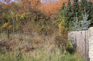 Wanderung zum Steinbruch R&ouml;se