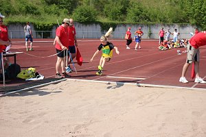 Mini-WM der Leichtathletik