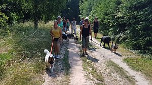 Tag des Hundes