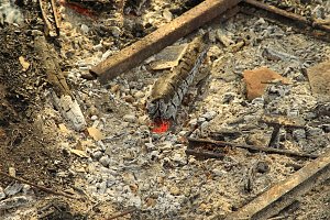 Brand im Hammatal